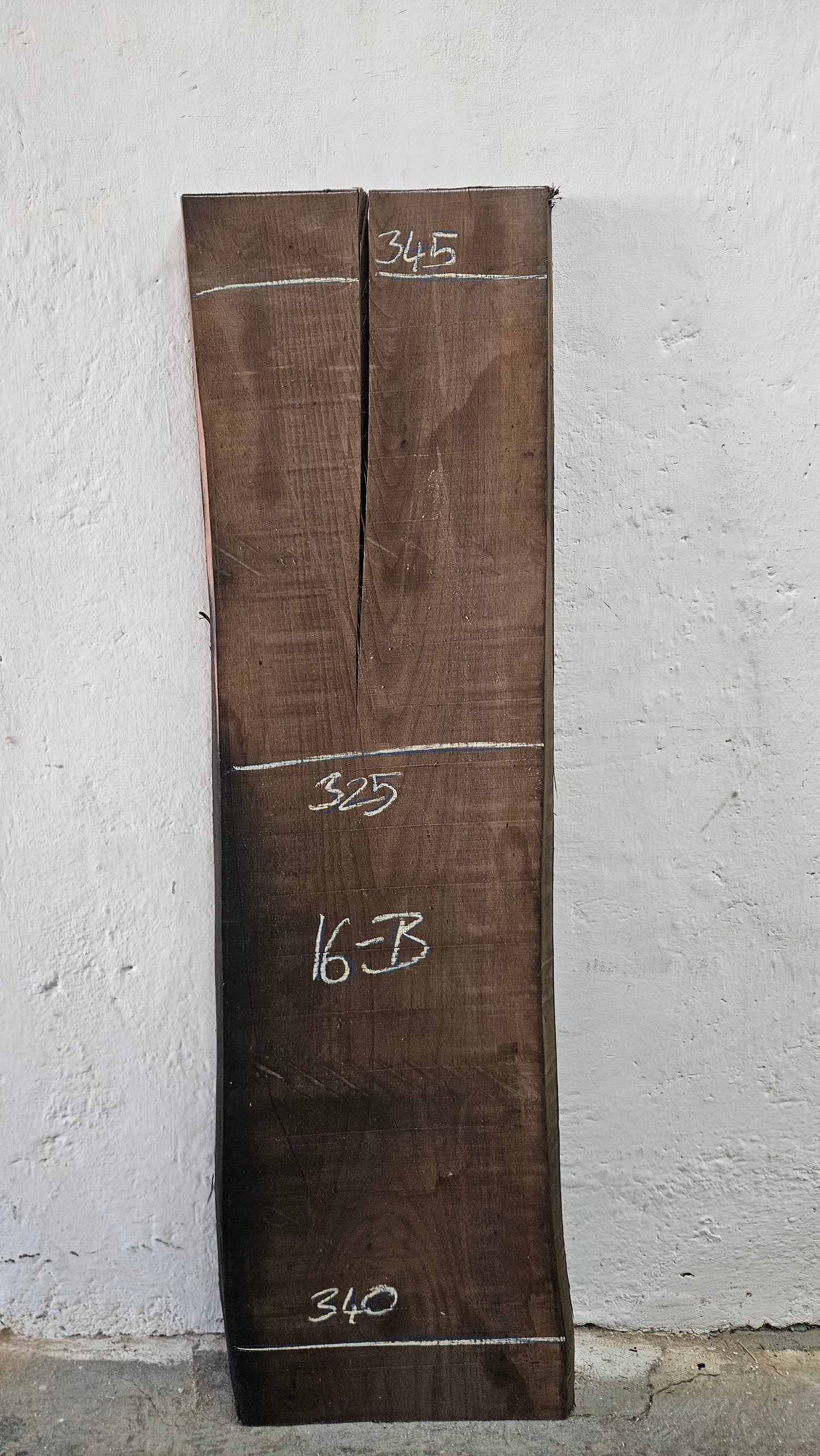 Nussbaum amerik. 32mm