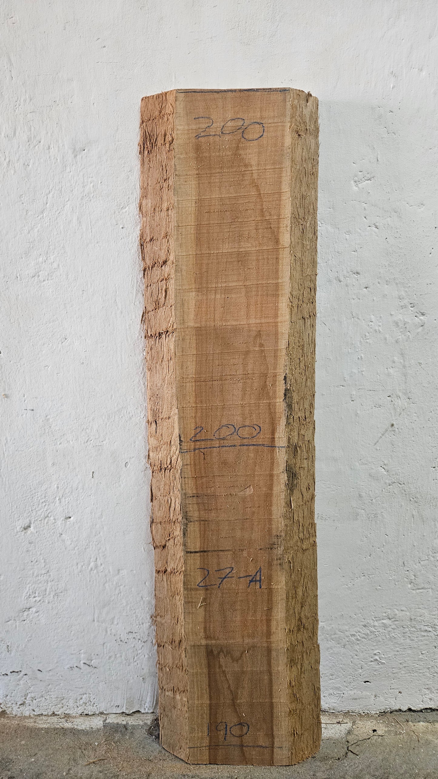 Kirsche amerik. 46mm