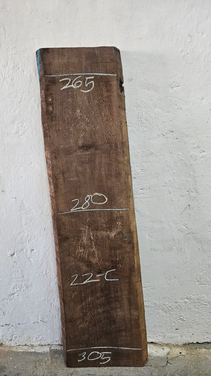 Nussbaum amerik. 52mm