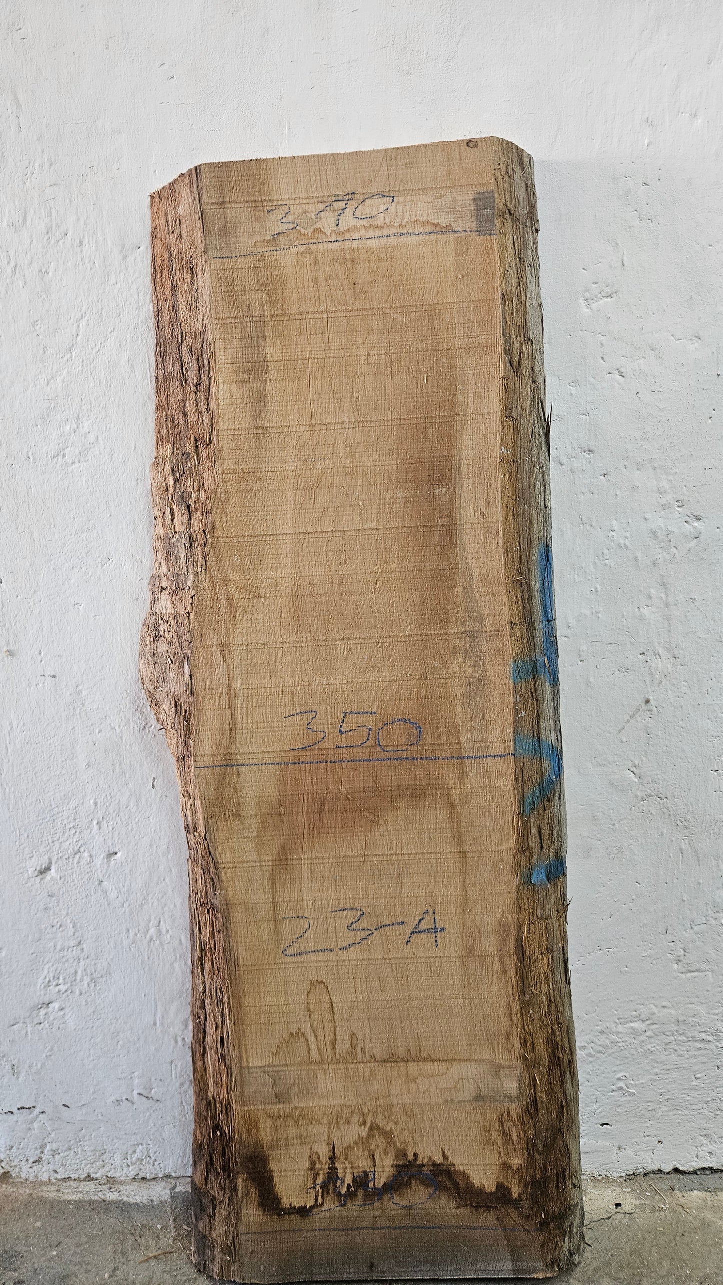 Eiche europ. 52mm
