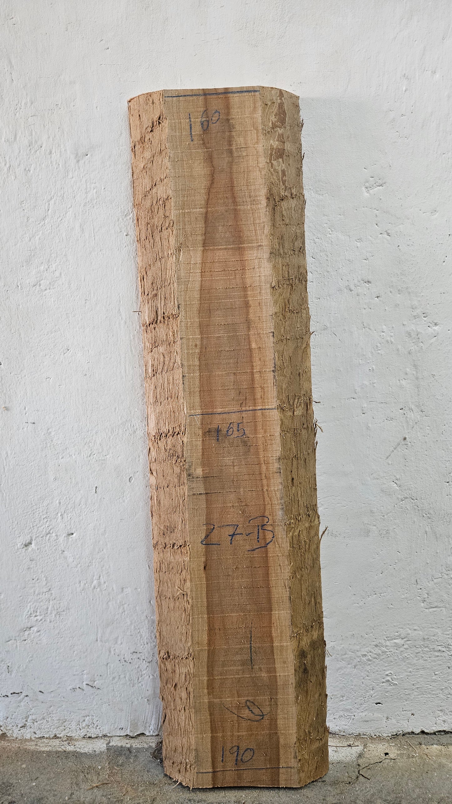 Kirsche amerik. 46mm