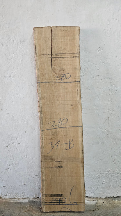 Eiche europ. 32mm