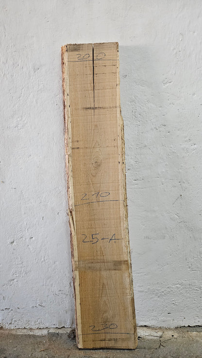 Eiche europ. 32mm