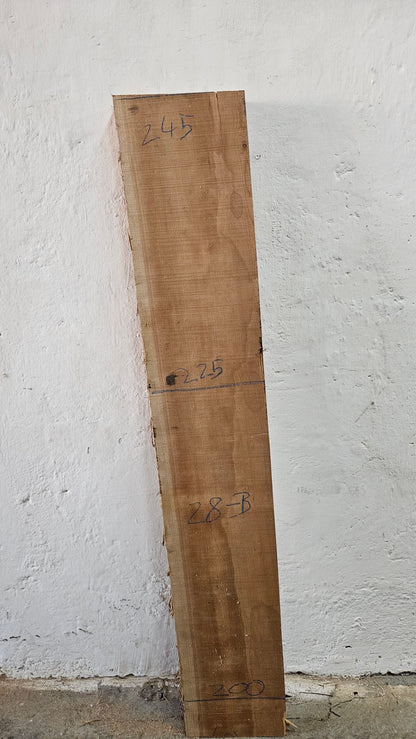 Kirsche amerik. 46mm