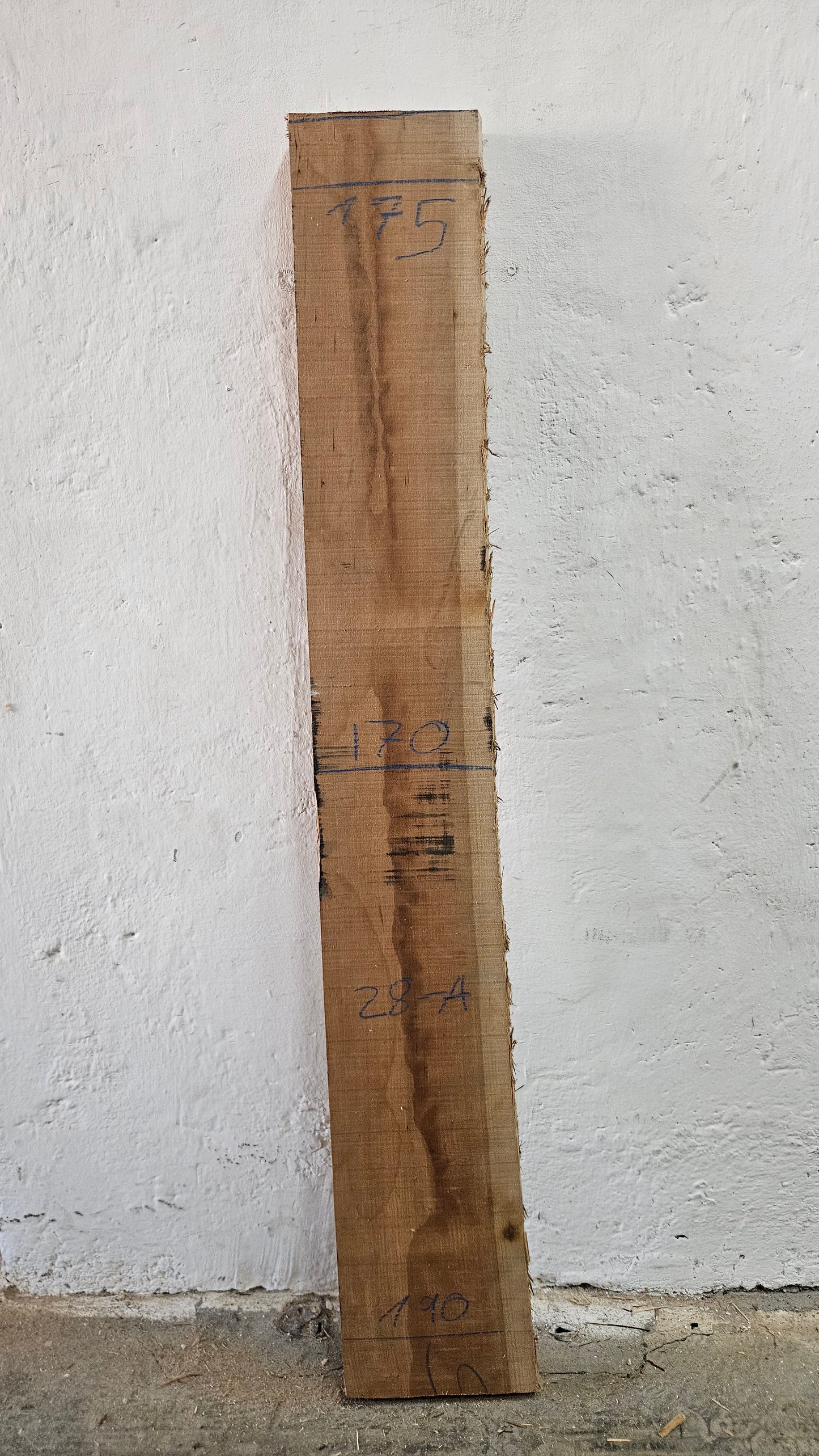Kirsche amerik. 46mm