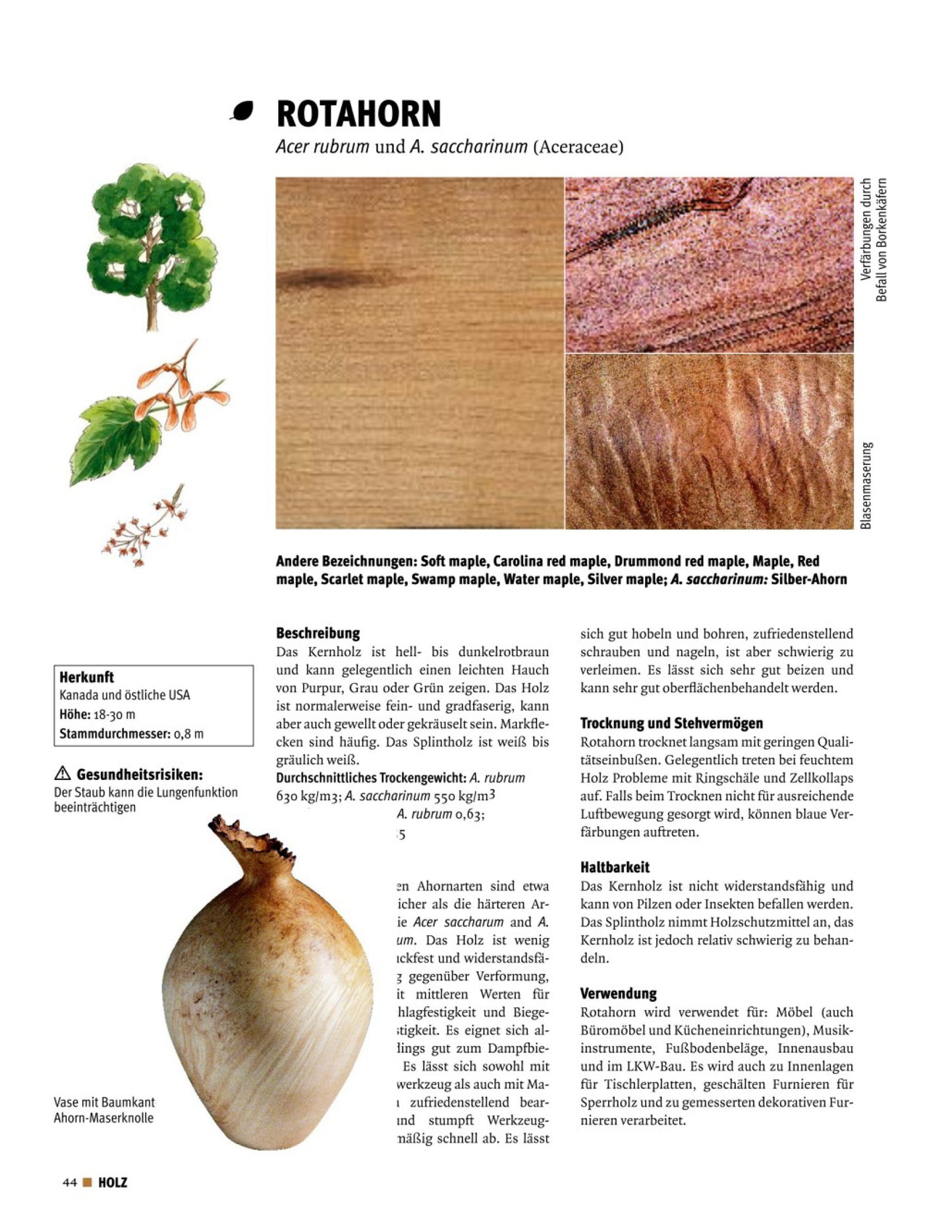 Buch „Holz erkennen und benutzen" von Terry Porter