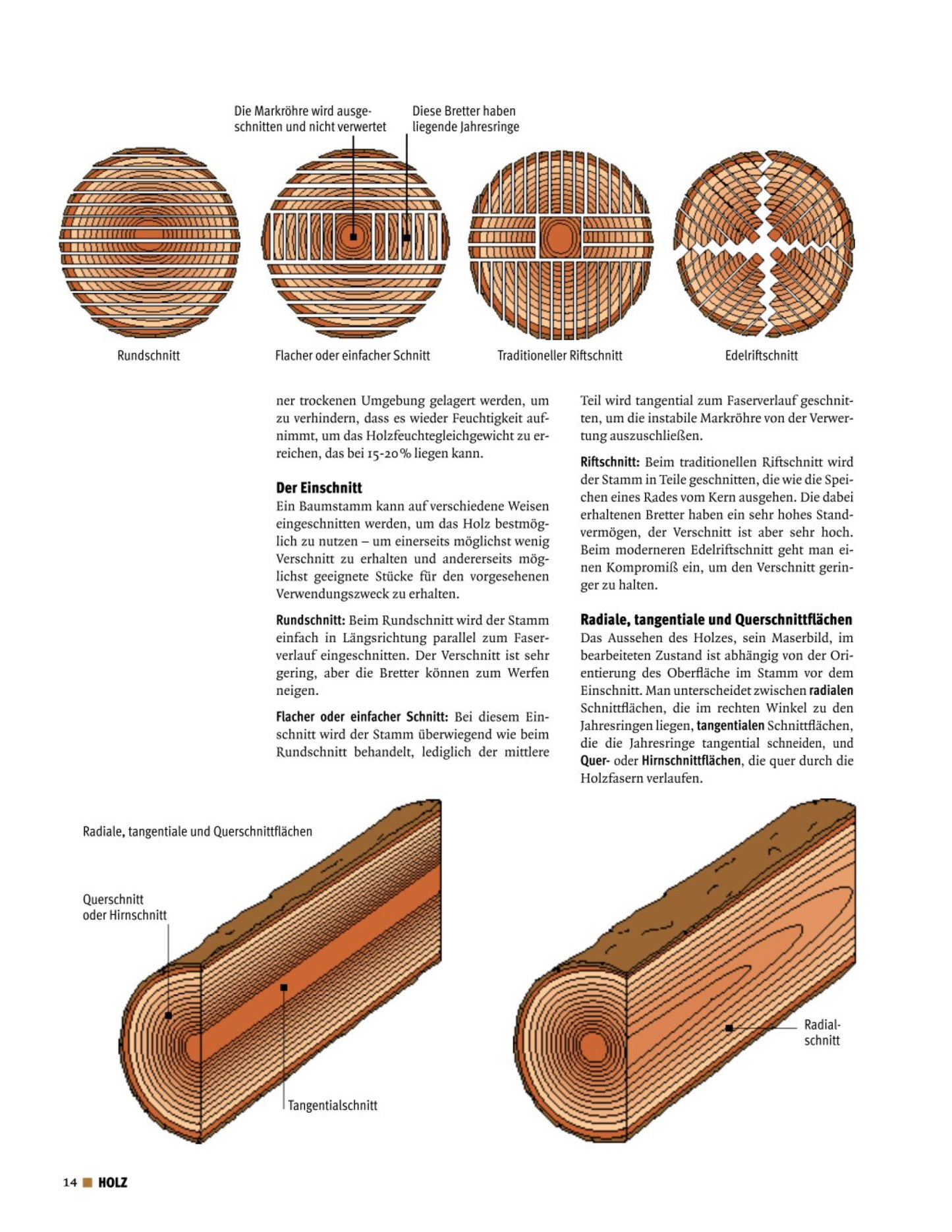 Buch „Holz erkennen und benutzen" von Terry Porter