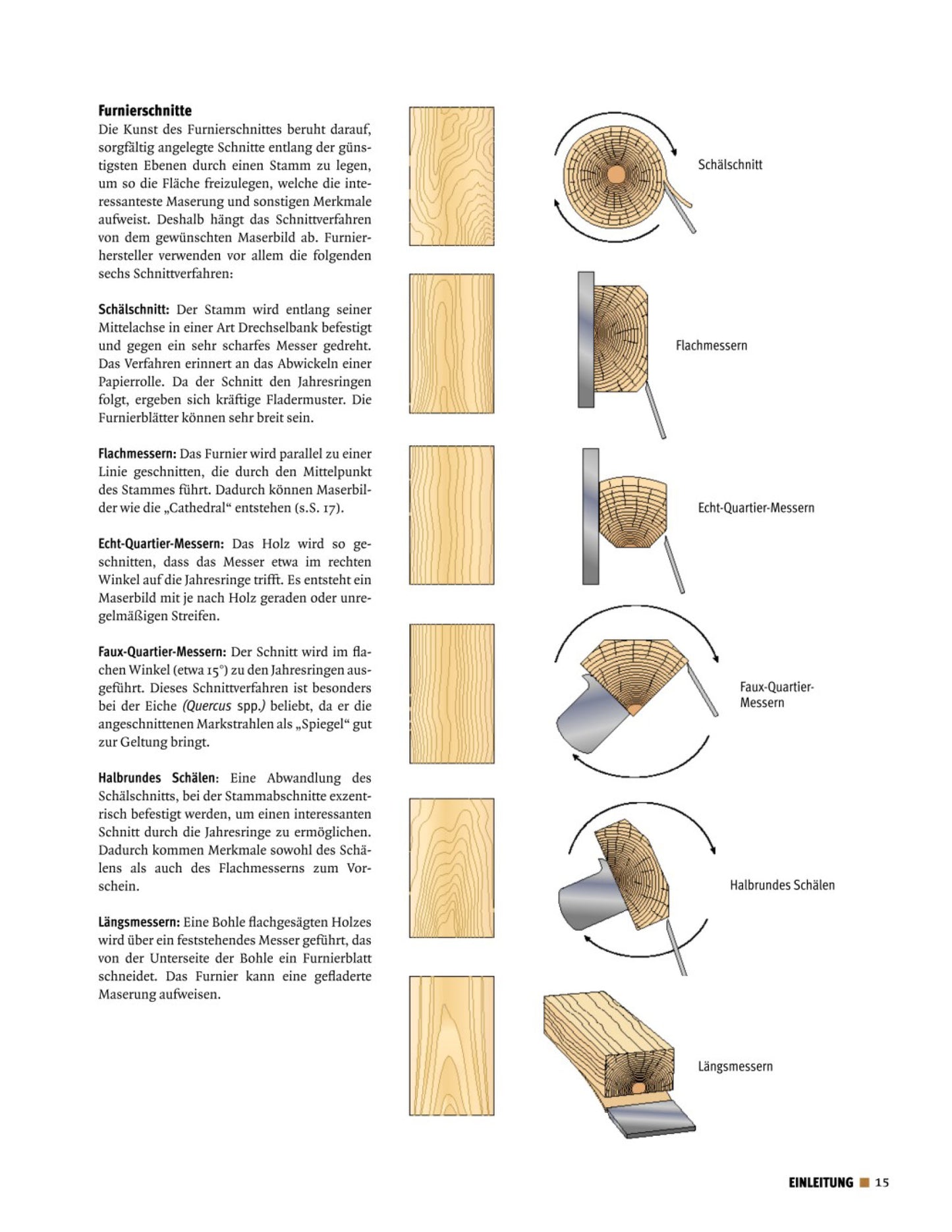 Buch „Holz erkennen und benutzen" von Terry Porter