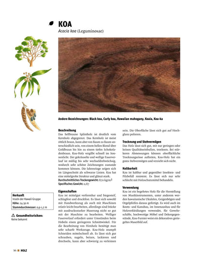 Buch „Holz erkennen und benutzen" von Terry Porter