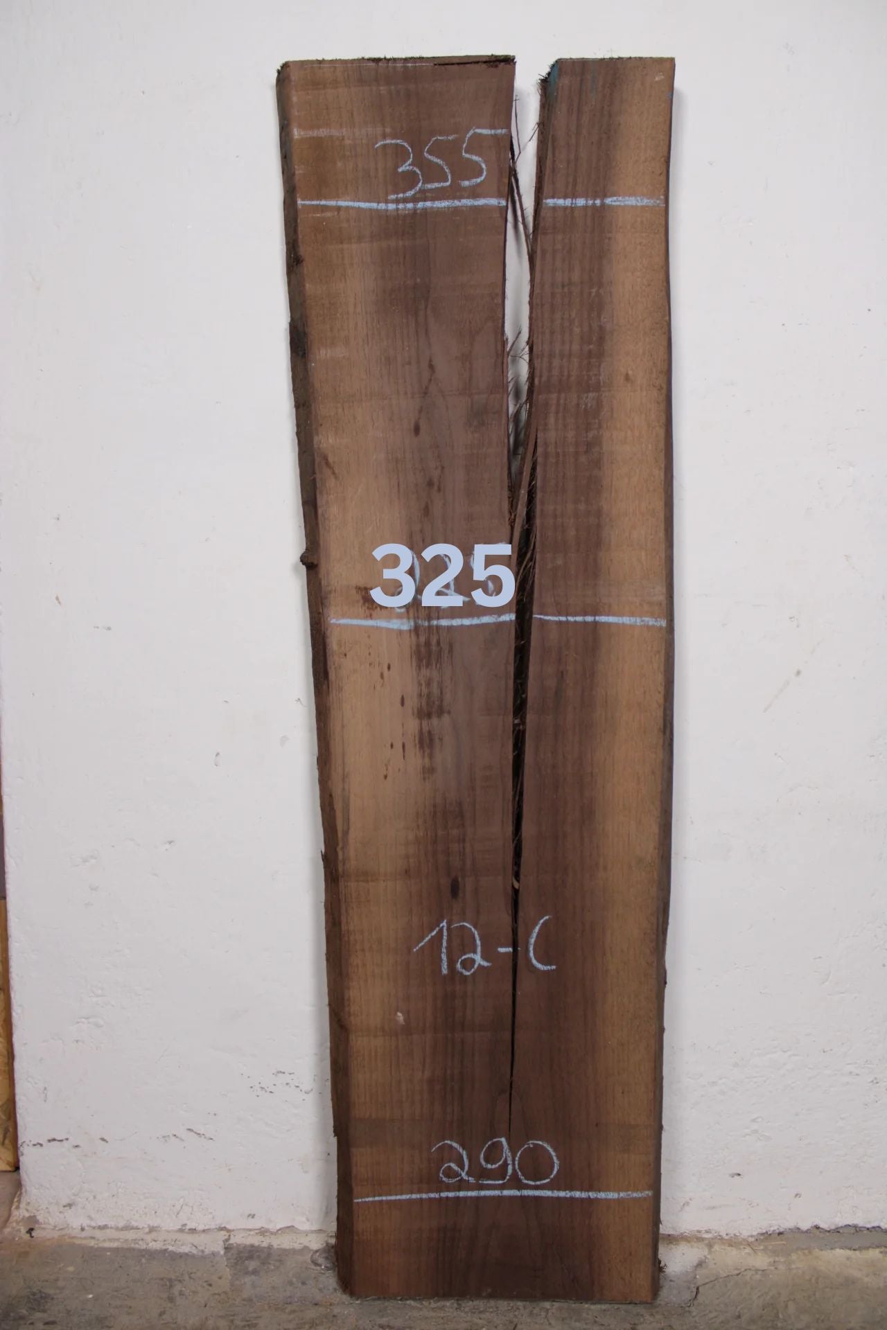 Nussbaum amerik. 52mm