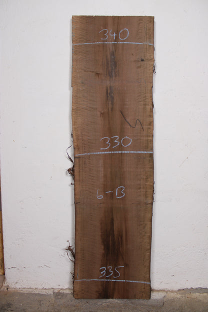 Nussbaum europ. 32mm