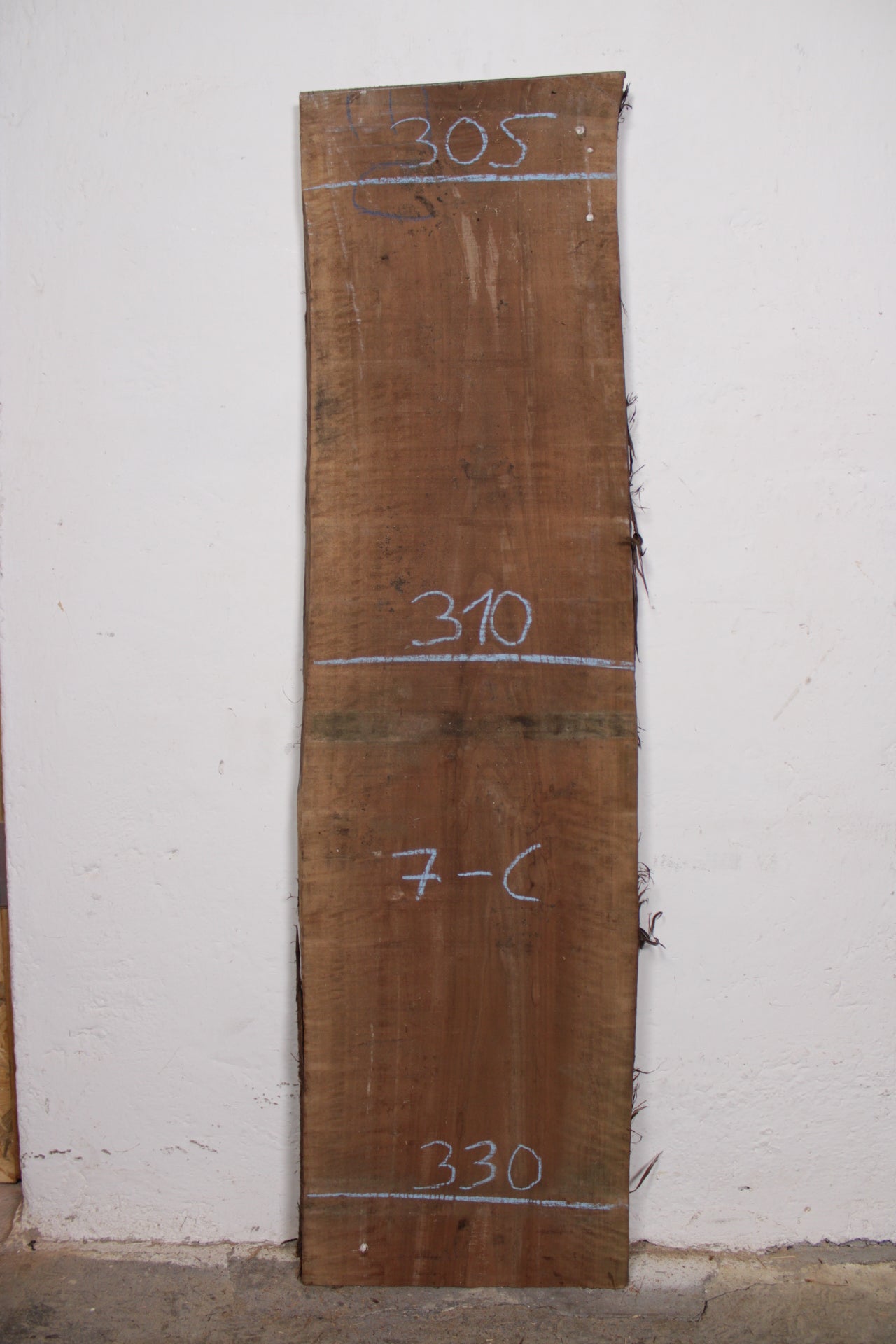 Nussbaum europ. 32mm